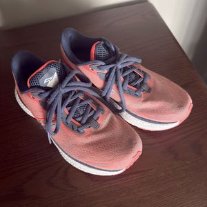Well Worn Gym Shoes