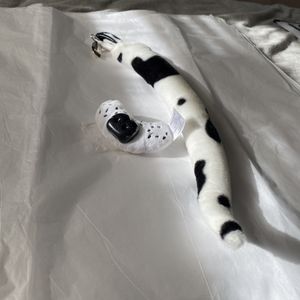 Nose and Tail