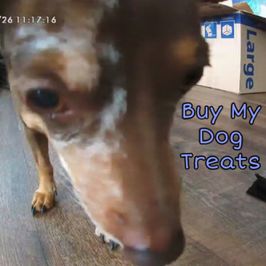 Buy My A Bag of Treats