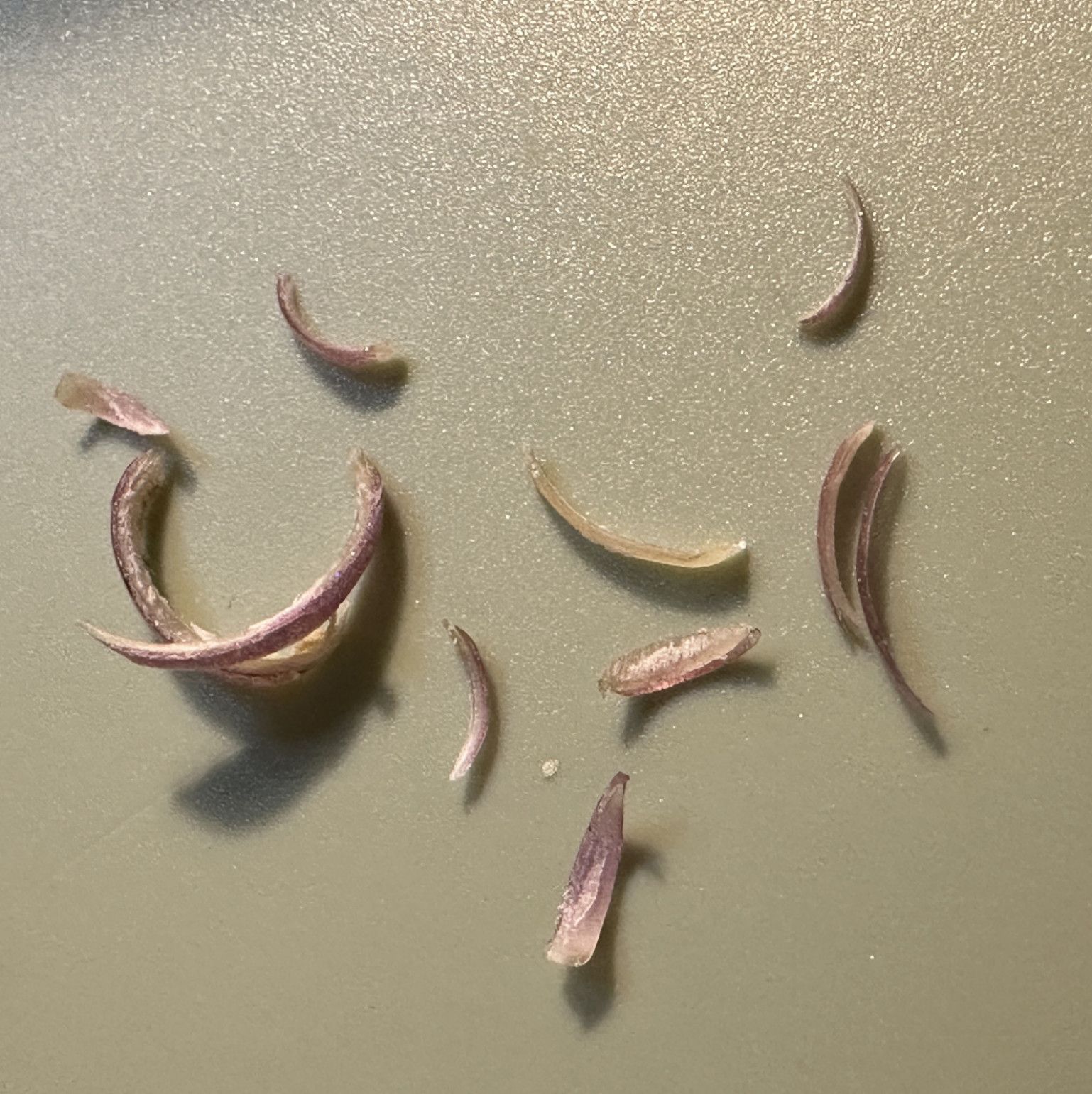 Toenail clippings
