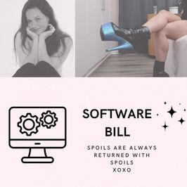 Software Bill