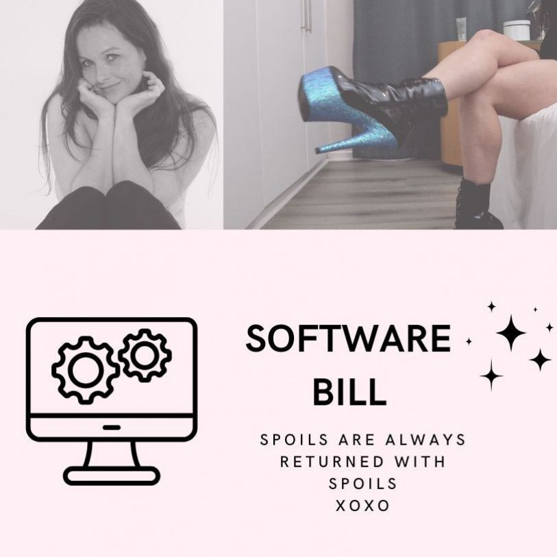 Software Bill