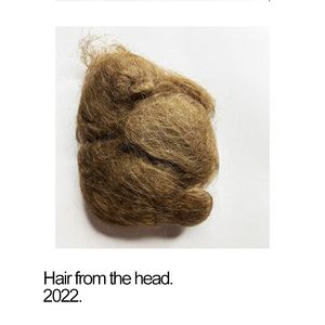 Hair from the head