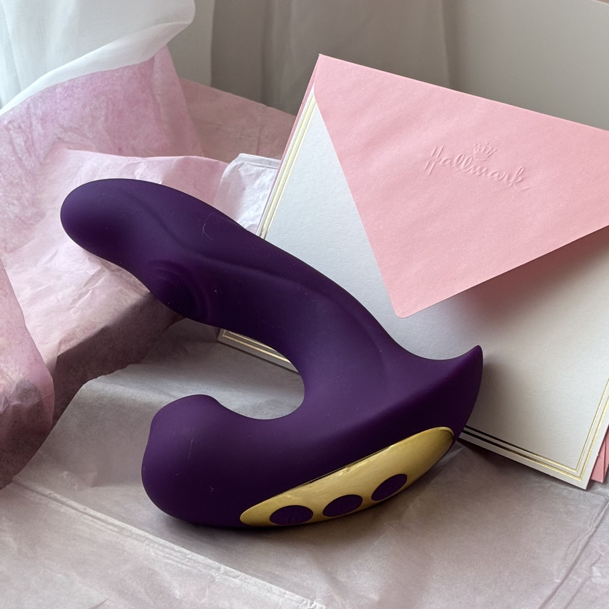 Used Sex Toy Plug and Sucker Panty Vibe