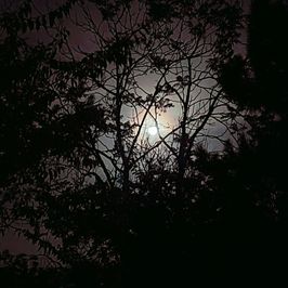 Help Upgrade My Studio