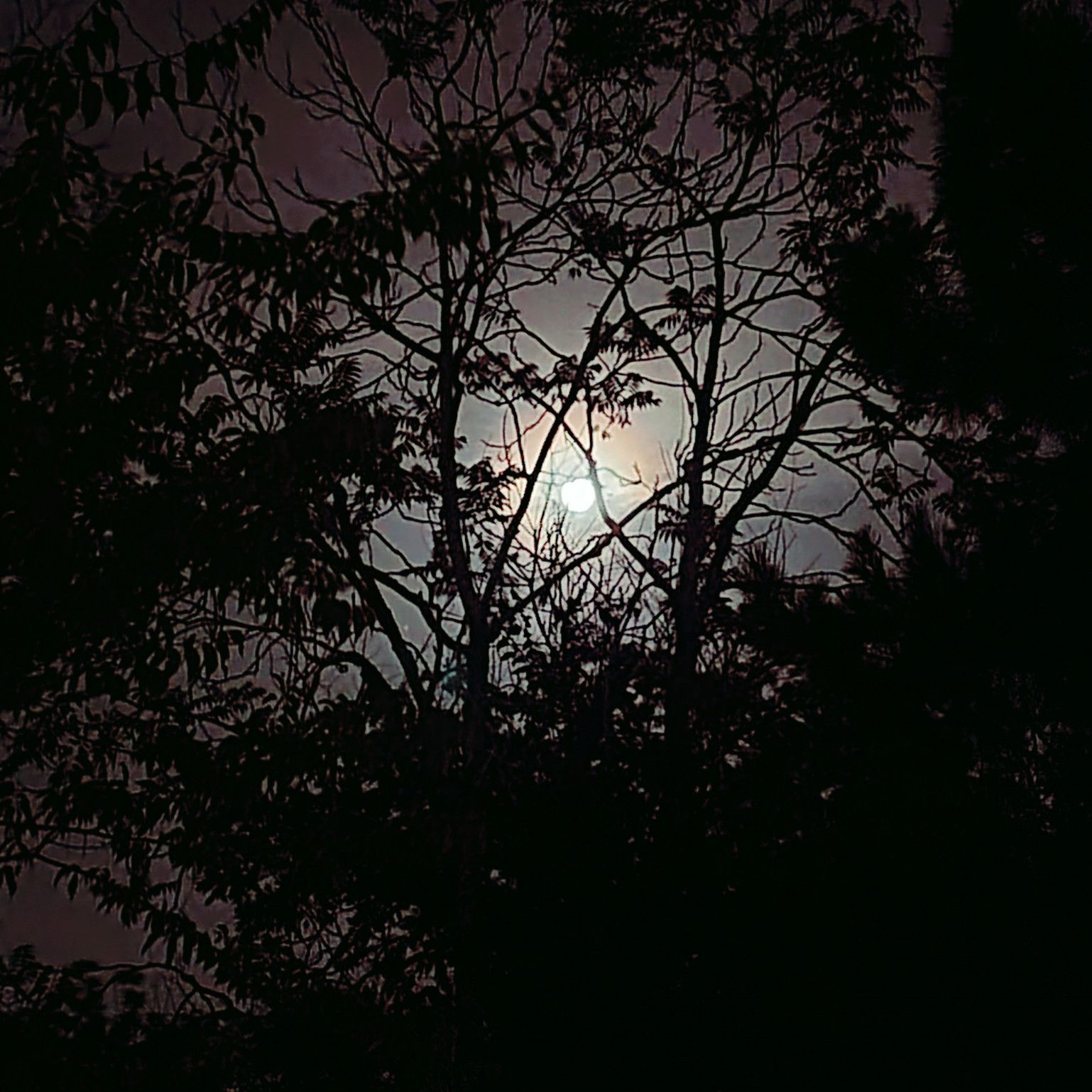 Help Upgrade My Studio