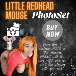 LITTLE MOUSE PHOTOSET 40PICS
