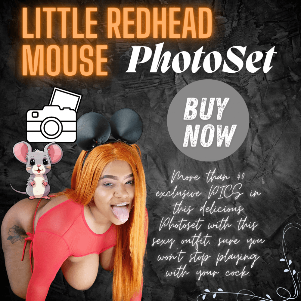 LITTLE MOUSE PHOTOSET 40PICS