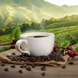 SFW Buy Me Starbucks