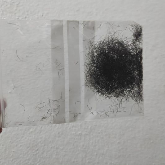 Pussy hair