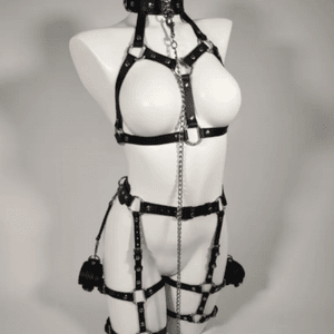 Buy me an awesome leather harness