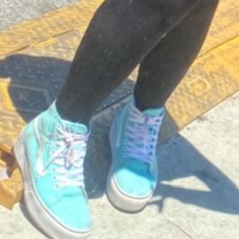 Warped Tour 2025 vans