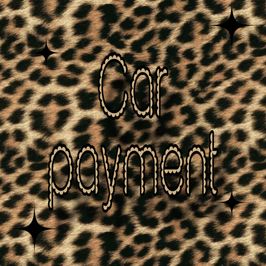 Car Payment