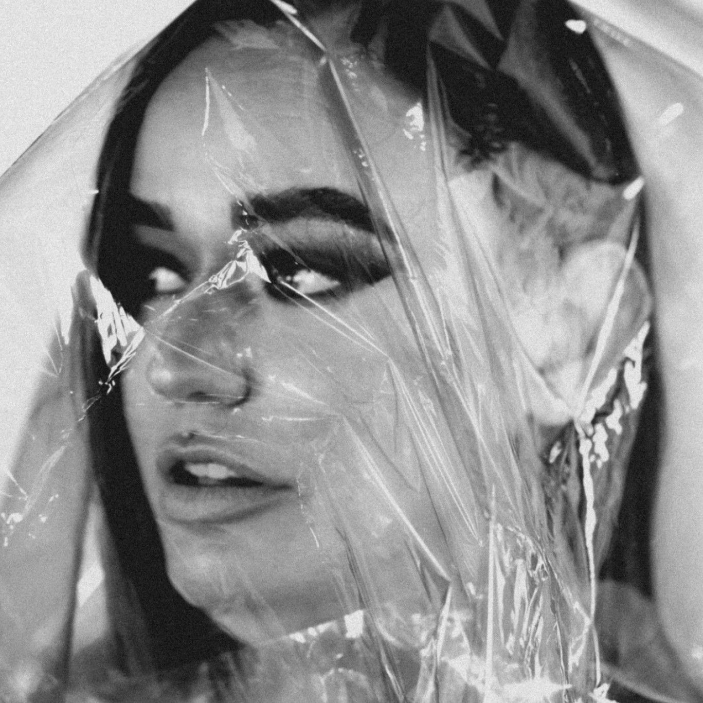 Wrapped in Plastic
