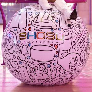 Shosu Doodle Beach Ball