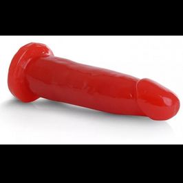 used dildo