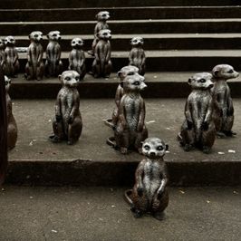 Trip to Taiwan Photo Set