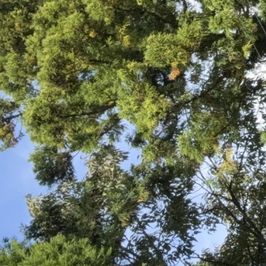 Farm work in the countryside Photo Set