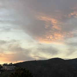 spoil me with a day off