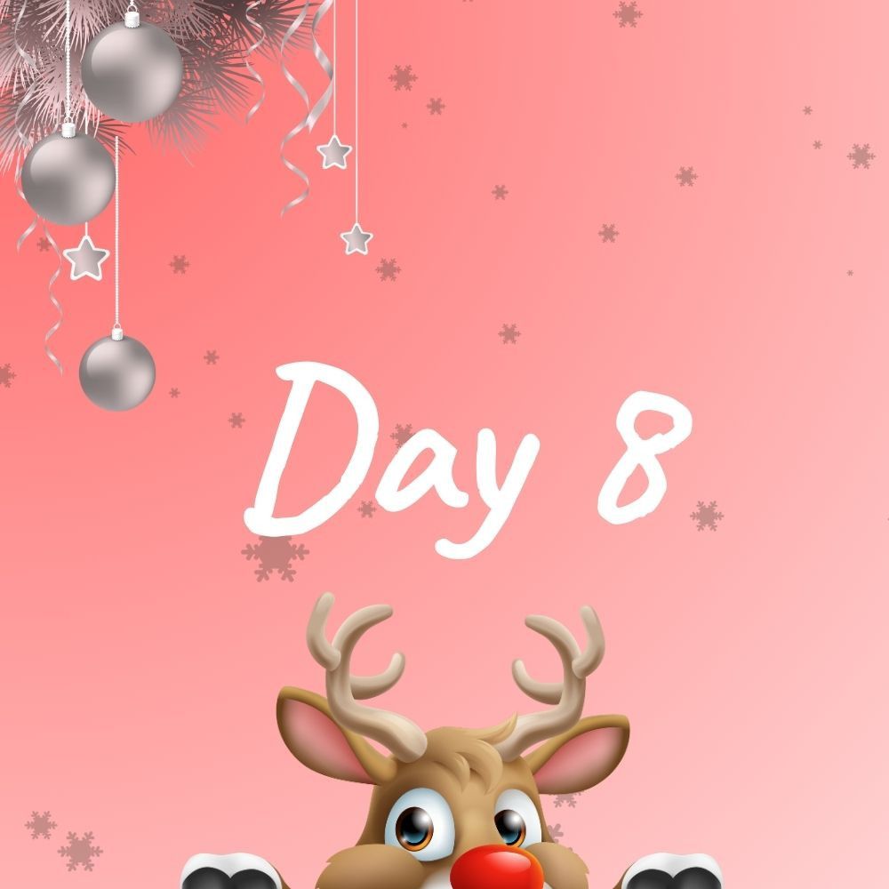 Day 8: Christmas Advent Calendar