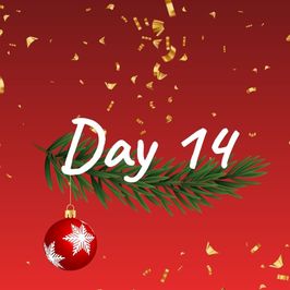 Day 14: Christmas Advent Calendar