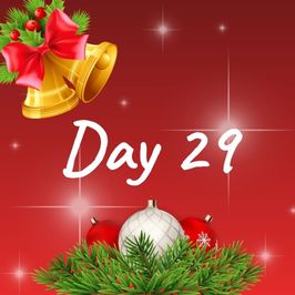 Day 29: Christmas Advent Calendar