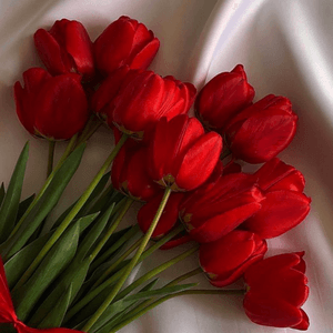 Cute flowers