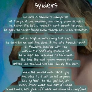 spiders: poem lyric cards