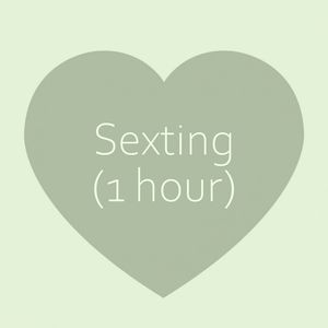 1 Hour Sexting Session