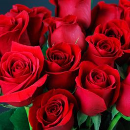 Roses