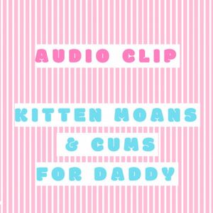 Audio: Kitten Moans For Daddy
