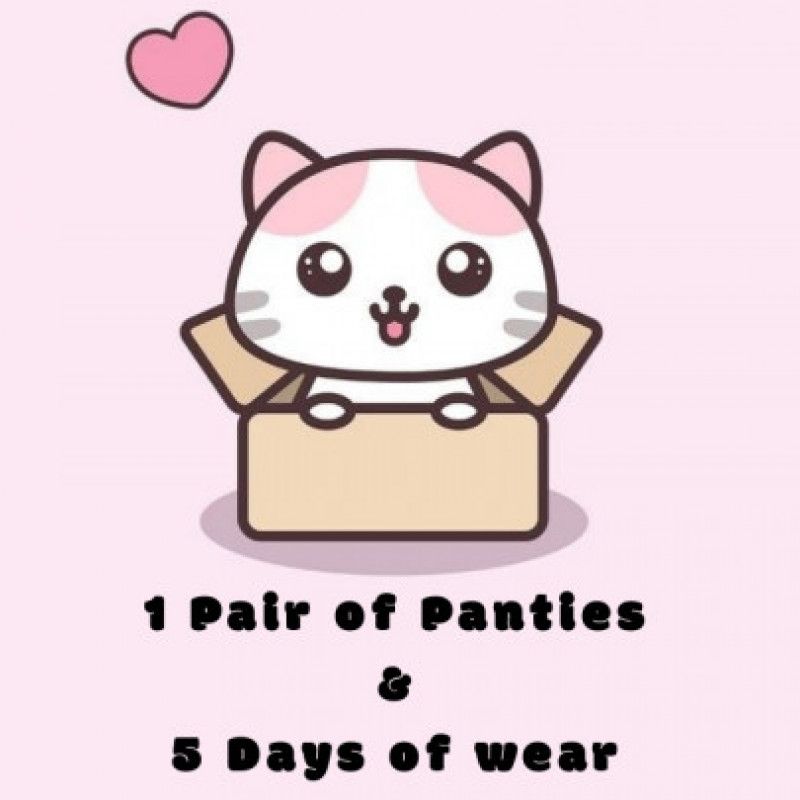 Pkg: Panty: 3 days wear
