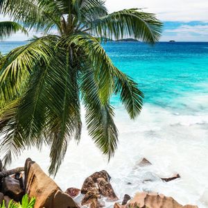 Pay for my vacation