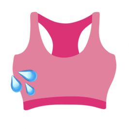 Mystery Sweaty Sports Bra