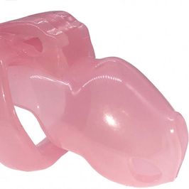 Chastity device