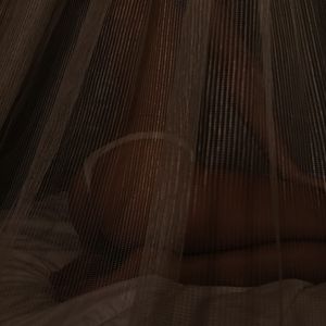 sensual night
