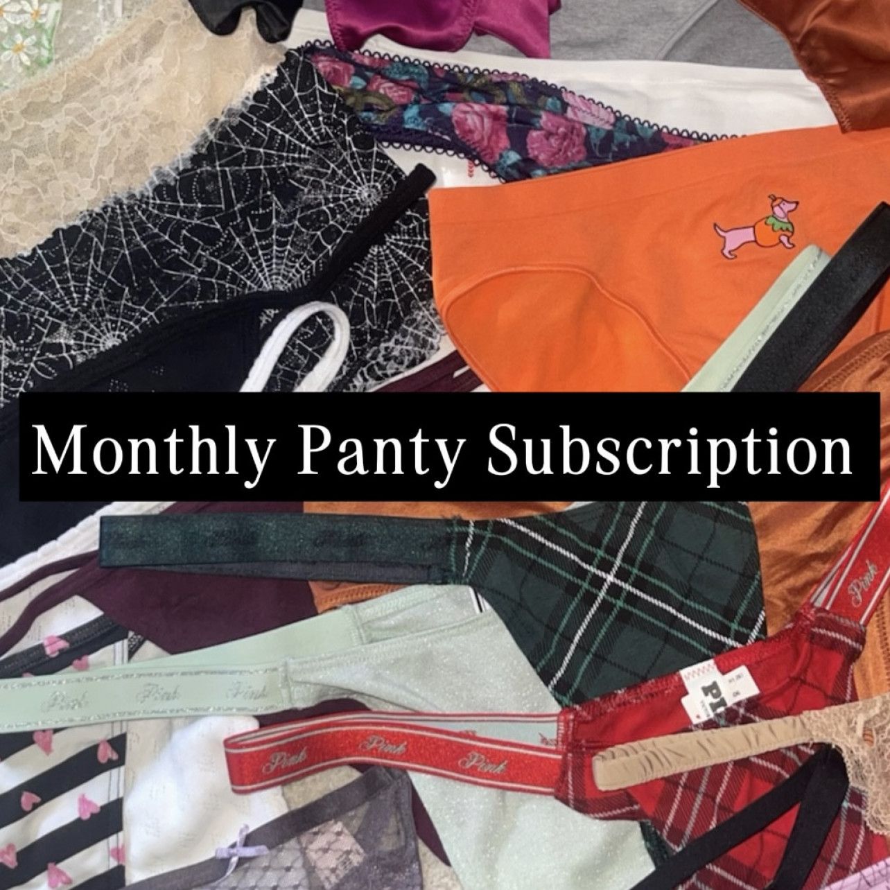 MONTHLY PANTY SUBSCRIPTION