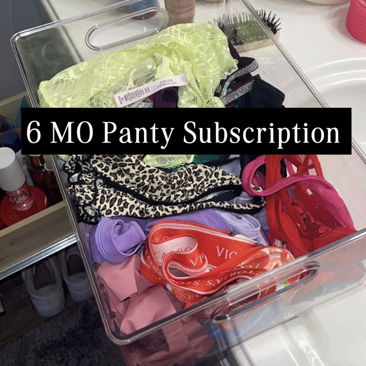6 M Panty Subscription