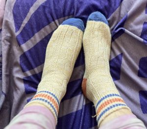 Retro Stripe Stinky Socks