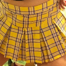 Clueless Skirt Plaid Worn Live on Cam Photos Free Shipping!