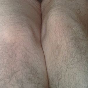 HAIRY LEGS TRIBUTE