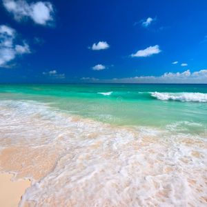 Get to know the beach Get to know the beach Get to know the