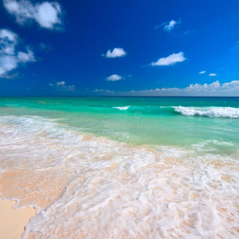Get to know the beach Get to know the beach Get to know the