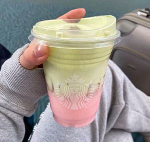 Gift: Daily Matcha