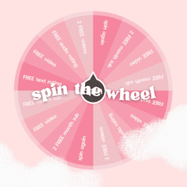 SPIN THE WHEEL !!