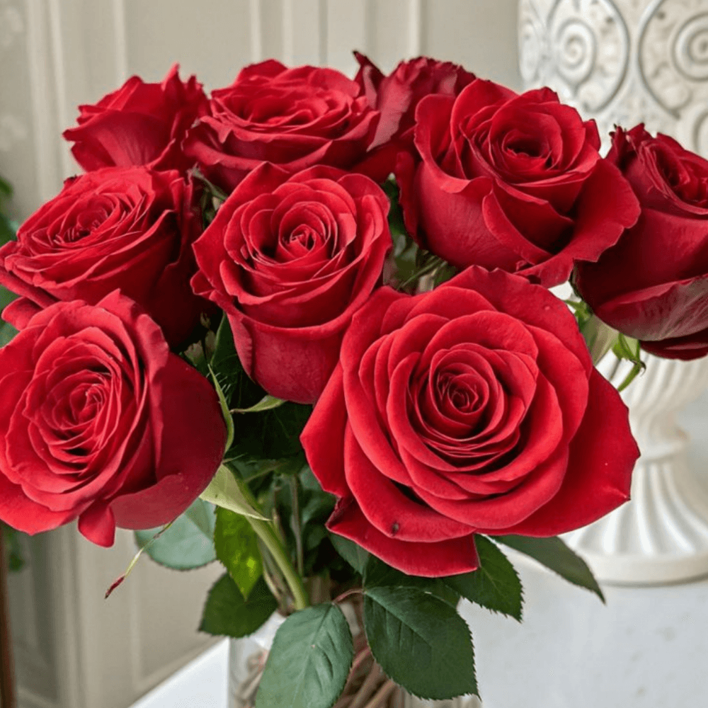 Buy Me Flowers   Sweet Girl Sexy Reward