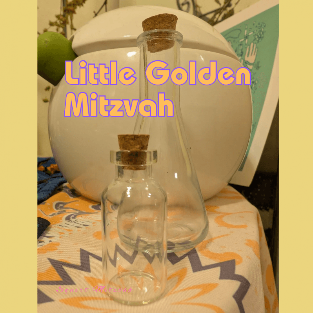 Little Golden Mitzvah With Video