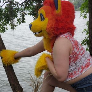 Kitten in a Glade Photoset 2020