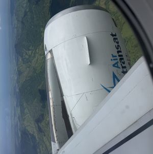 Pay for my plane ticket!