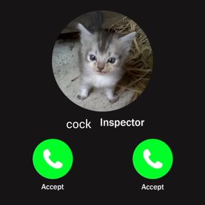 Audio dick rating